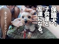 保護犬に、素敵な人間のお友達ができた日。【Day61】