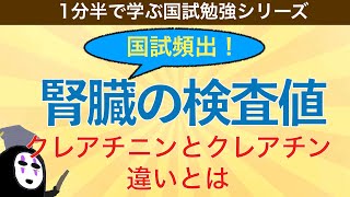 UN CR 試験問題解説集 RX ZL 1分半で学ぶ国試勉強シリーズ「腎臓の検査値とは」クレアチニン