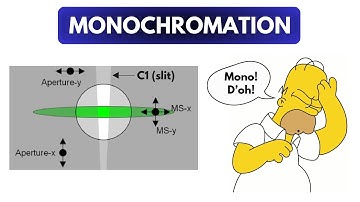 FEI Themis Z S/TEM: monochromated STEM-EELS