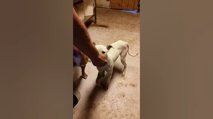 Droopy needs help