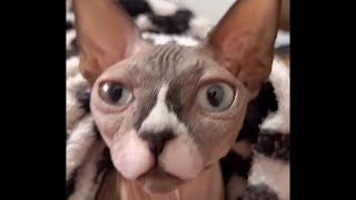 Yo No Quiero Llamarme Carbón