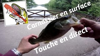 Pêche du carnassier | Brochet, Perches, Black-Bass | Touche en direct | GoProHD | 2016