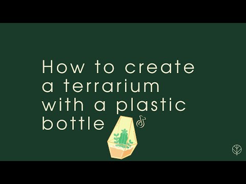 Video: Soda Bottle Gardening With Kids - Terrariums & Pflanzgefäße aus Sodaflaschen