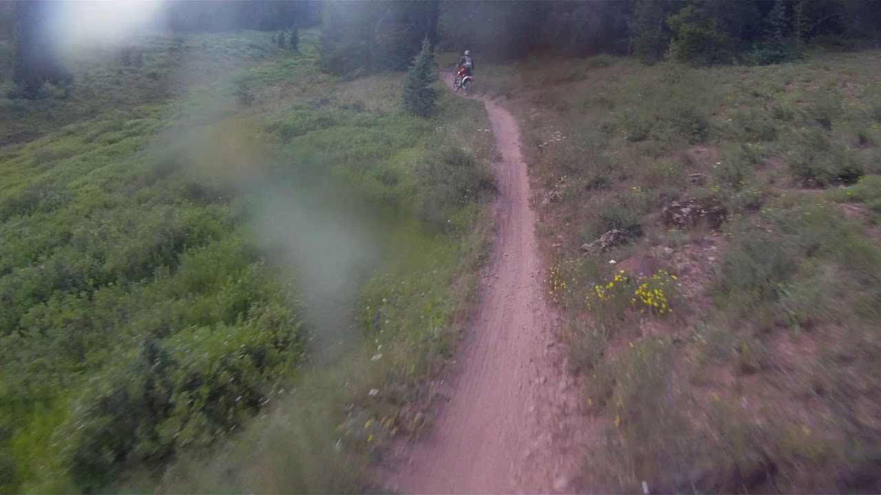 Bear Creek trail near Crested Butte, CO YouTube
