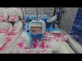 Ufo catcher Tokyo - Caught Dragonair! #bandai #gigo #gamecenter #arcade #pokemon