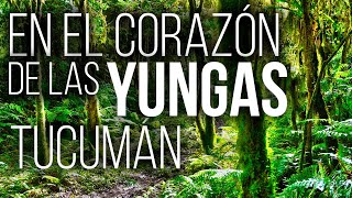 2 DÍAS en el CORAZÓN de las YUNGAS TUCUMANAS  PN ACONQUIJA