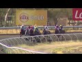 View race 2 video for 2019-04-13
