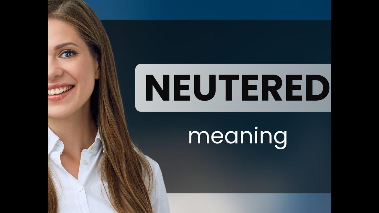 Neutered — what is NEUTERED meaning YouTube