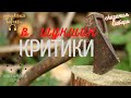 Аудиокнига Критики Шукшин