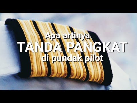 Video: Apa yang dimaksud dengan pilot batch?