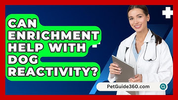 Can Enrichment Help With Dog Reactivity? - PetGuide360.com