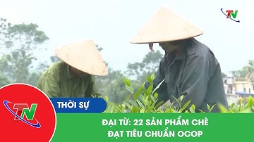 Đại Từ: 22 sản phẩm chè đạt tiêu chuẩn Ocop