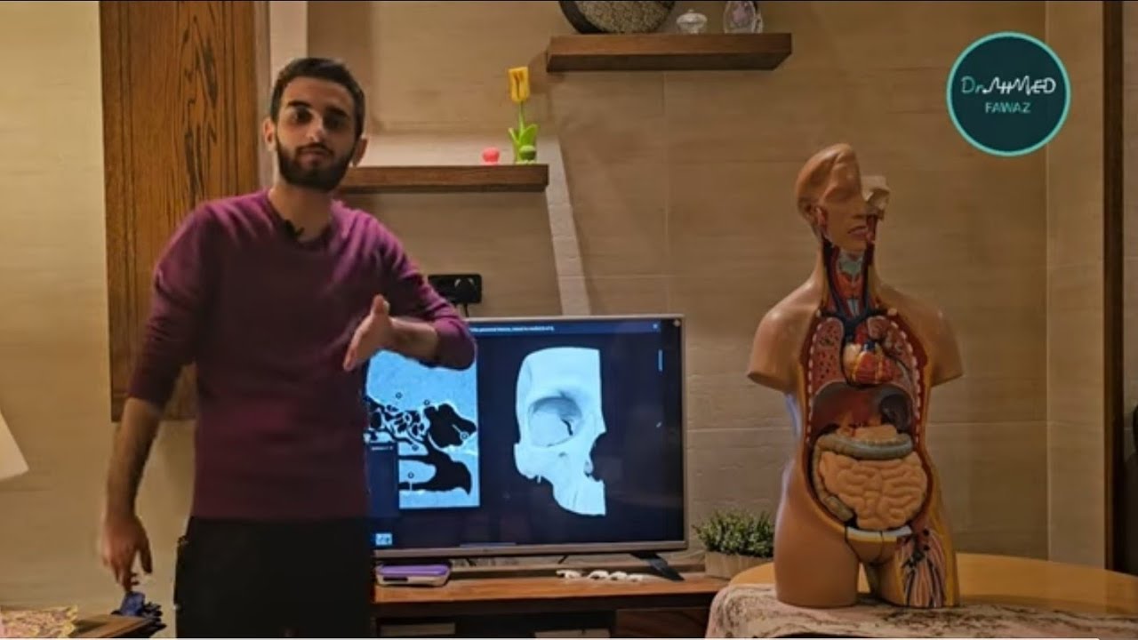 التشريح العام للسنة التحضيرية | الفصل الأول - المستويات التشريحية