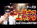 【スプリンターズステークス2025】ここで、上昇する！！中山芝1200mはBEST条件です【競馬予想/全頭診断】