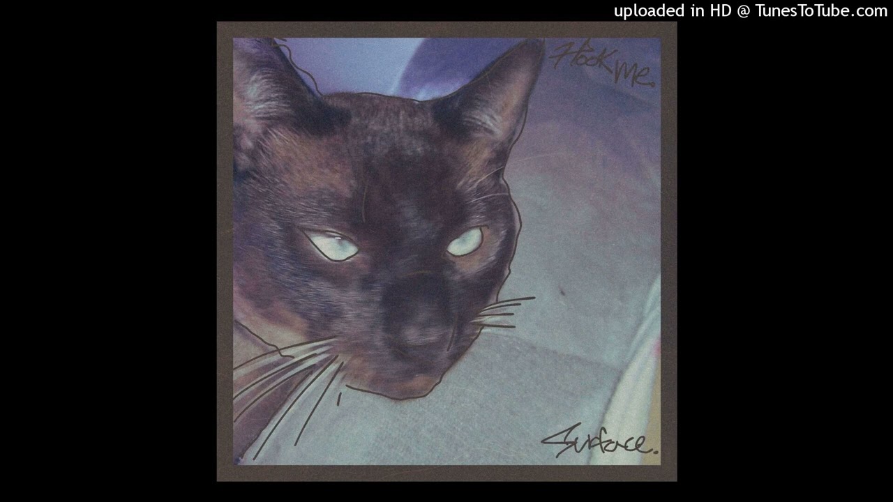 hook me. - surface (audio)