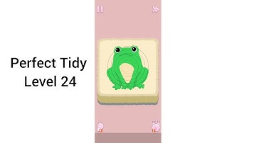 Perfect Tidy Level 24 Walkthrough