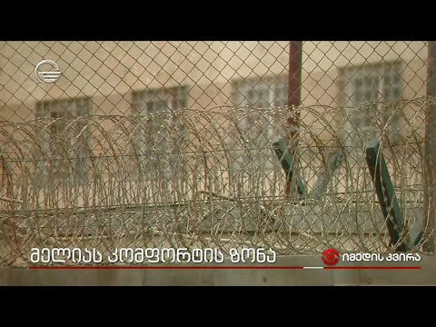 მელიას კომფორტის ზონა