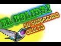 El misterio y la magia que oculta el COLIBRI