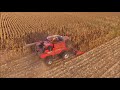 Picking Corn with a Case IH 7230!