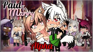 Paid To Marry The Alpha | Gacha Life | GLMM