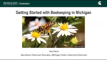 Getting Started with Beekeeping in Michigan