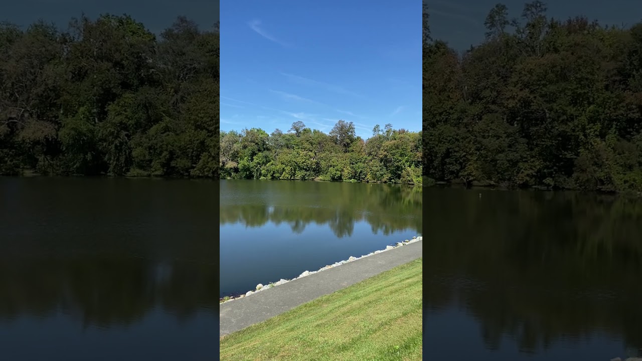 The leaves starting to change color around Inspiration Lake in early Oct🍃🍂🌊