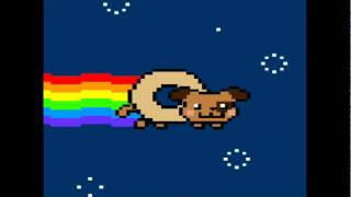 nyan dog nyan cat mashup nyan dog nyan cat mashup