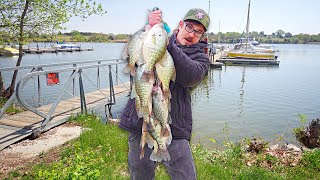 Floating A Tiny Swimbait For SHALLOW SLAB CRAPPIES!!! (Catch N&#39; Cook)