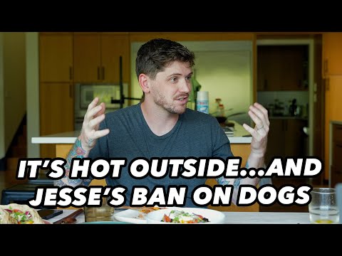 It’s HOT and Why Petting Dogs Is Good for Health!
