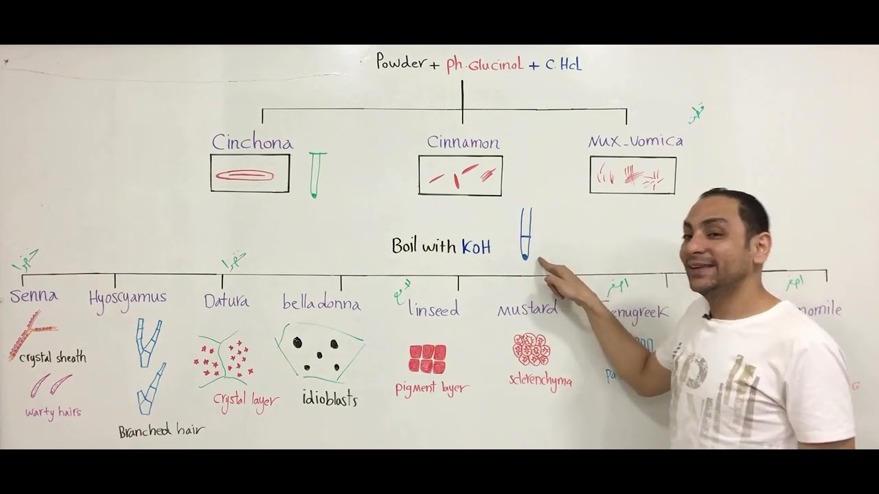 عملي عقاقير صيدله المنوفيه cognosy