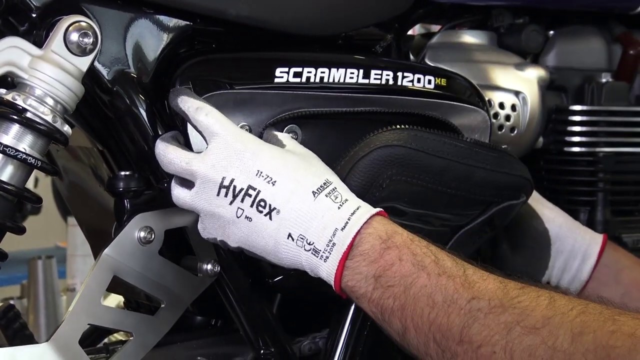 Zard Low Exhaust Triumph Scrambler 1200 Review Reviewmotors.co