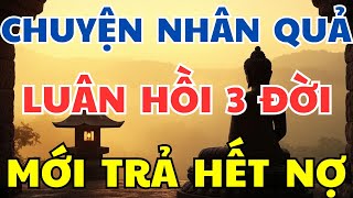 Chuyện Luật Nhân Quả: Ba Đời Luân Hồi Chuyển Sinh Mới Trả Hết Nợ | Chuyện Nhân Quả Có Thật
