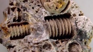 15 Most Mysterious Artifacts Finds Scientists Still Can't Explain