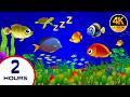 Beautiful Lullaby for Babies – Instant Sleep Music 4K Visuals Sweet Dream Lullabies #845