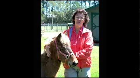 Carolyn Mason Little Island Wild Horses