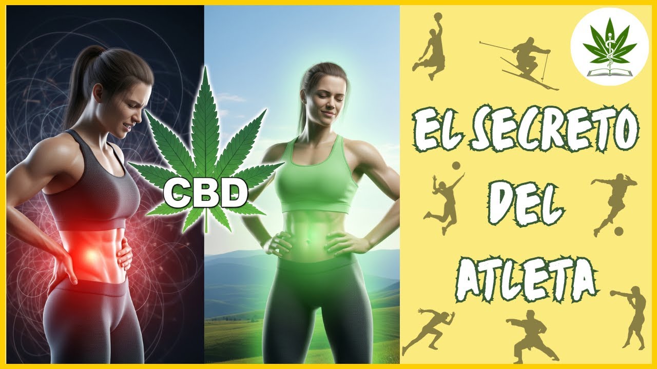 Descubre cómo el cannabis ayuda a los atletas