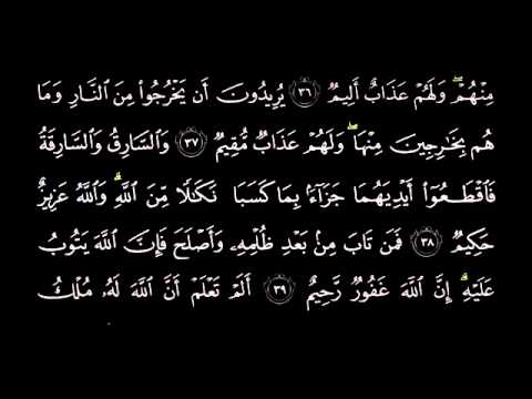 Surah 05 Al-Maidah Mishary Rashid Alafasy.