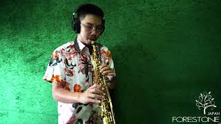 Video thumbnail of "抖音神曲『 艾辰 - 錯位時空』鬍子薩克 Saxophone Cover"