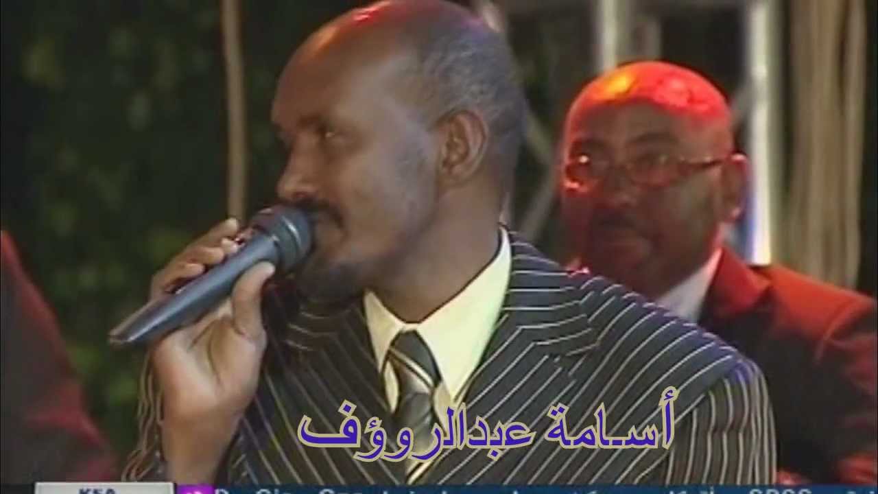 عصام محمد نور الطير المهاجر روعة