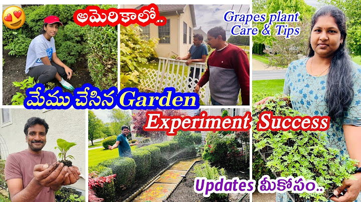🇺🇸అమెరికాలో మా garden 🏡🪴 సెటప్⛲️& గెటప్ 👨‍🌾 చూడండి 🥰#gardening #ohio #sprinklers #experimentsuccess