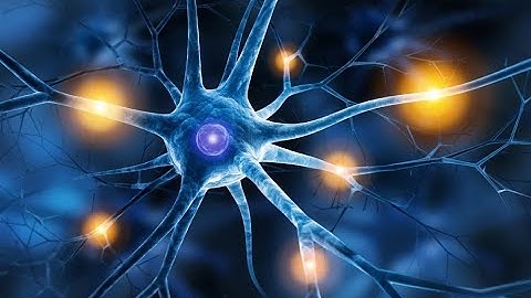 Exploring Neurobiology - Understanding the Complexities of the Brain (4 Minutes Microlearning)