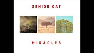 Rofsteve Mix 293senior Oat  Miracles Album Mix