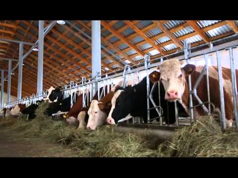 სოფლის მეურნეობა - ნინო ზამბახიძე - ფერმერი / Nino Zambakhidze - Farmer