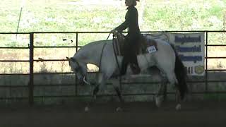 Ruby Bright -POA mare doing some rail work for Western classes.