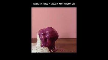 Elephant Toothpaste Experiment in Tamil #shorts #youtubeshorts #scienceexperiments