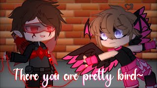 There you are pretty bird~ // Ft: HotGuy and CuteGuy // AU // Scar and Grian // Hermitcraft // MCYT