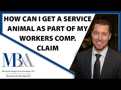 how-can-i-get-a-service-dog-or-an-emotional-support-animal-as-part-my-workers'-compensation-claim