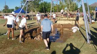 Mighty mud mania original course 2019