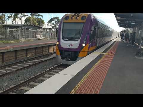 Vline vlocity 1134