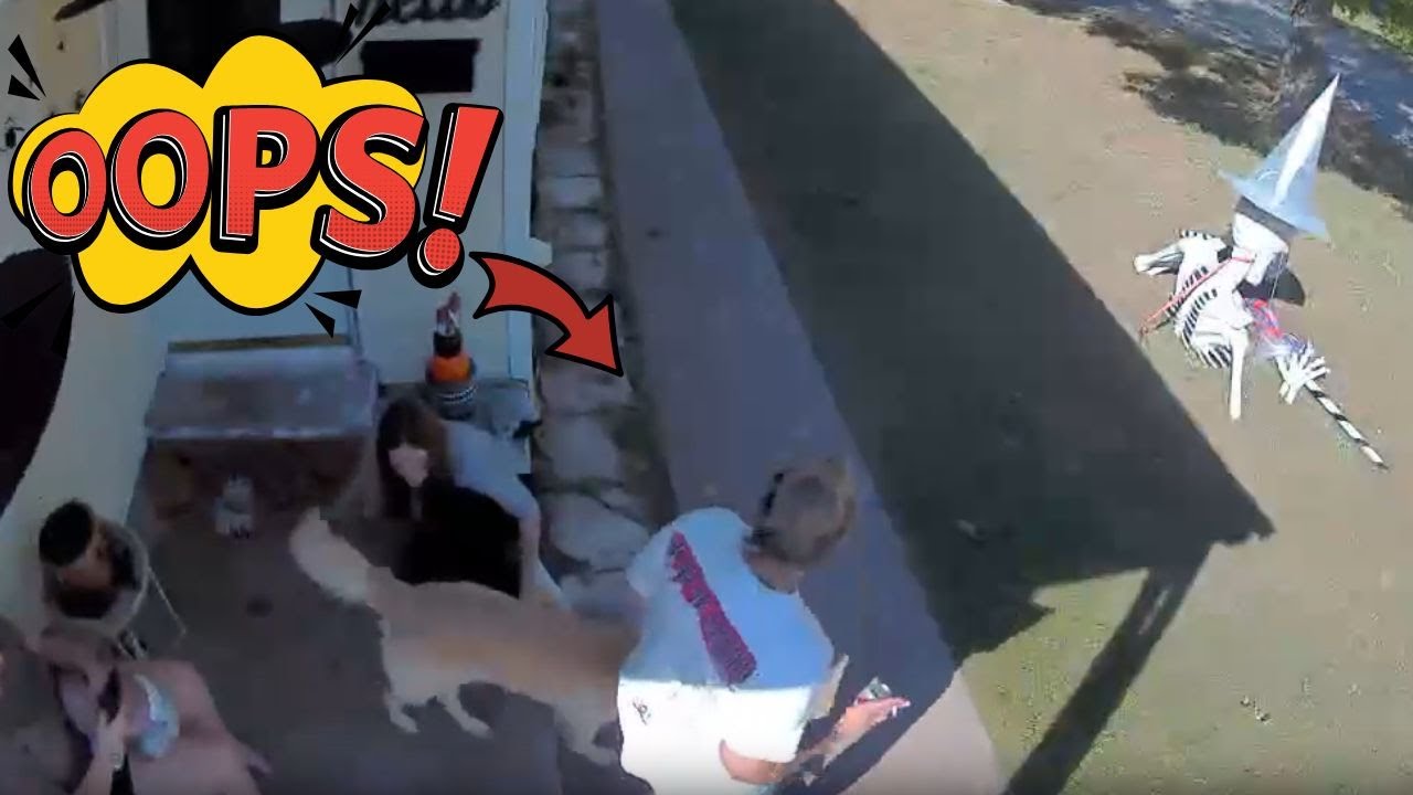 Dog Fails: Golden Retriever Sends Dog Mom Flying! || WooGlobe